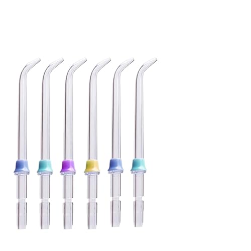Buse pour irrigateur oral et boîte de rangement pour protéger vos embouts de la poussière
