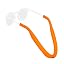 Ev Orange