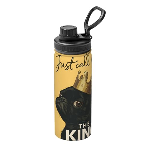 �p�O ���� �C�G���[ ���F �^��f�M�X�|�[�c���� ��d�\���ԍڌg�уX�e�����X�J�b�v �j�����p�������v���[���g����