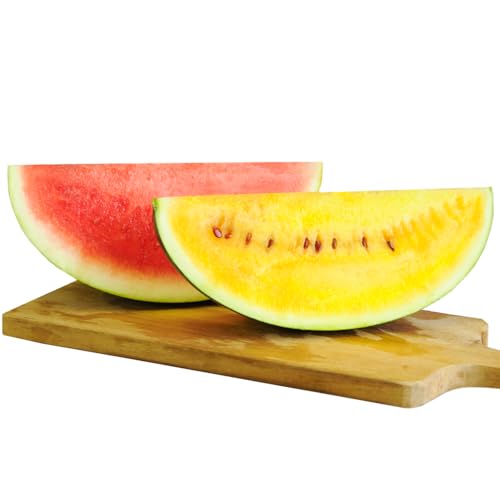 [2026年分受付中]秋に収穫される赤色スイカor黄色スイカ2〜4玉(約9kg) 秋すいか 果物 フルーツ 国産 北海道 三笠市[01149]