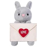 My OLi Stuffed Bunny Animals Plush 8.5in Bunny Toys with Envelope（Can Hold Stuff） for Kids Boys Girls Lover