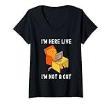 I'm Here Live I'm Not a Cat Meme Humor