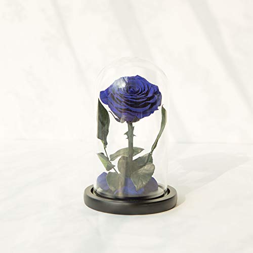 NATROSES Mothers Day Flowers Blue Roses for Mom, Handmade Preserved Roses in Glass Dome, Long lasting Purple Roses Real, Glass Rose for Valentines Day, Christmas, Birthday, Anniversary, Thanksgiving