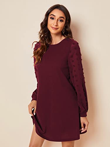 Image of SweatyRocks Women's Elegant Mesh Contrast Long Sleeve A Line Mini Short Dress