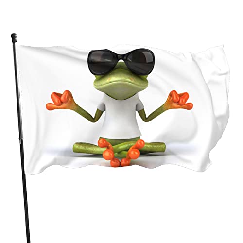Bandera decorativa de 60 x 90 cm, para patio, diseño de rana, para meditación, yoga, rana, bandera de jardín, decoración de bandera colgante (rana 01)