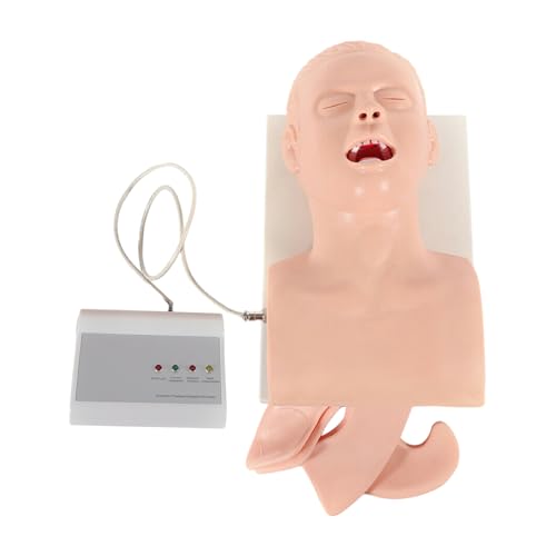 Intubation kit Manikin Intubation Manikin Medical Mannequin for Training Intubation Adult Manikin Intubation Manikin Study Teaching Model Oral Airway kit