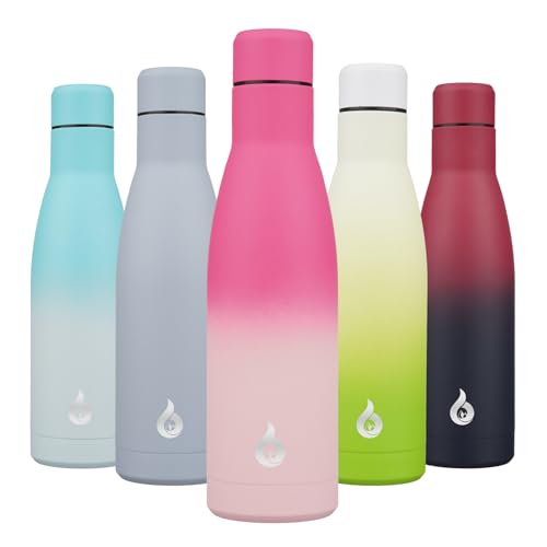 Image of BJPKPK Insulated Water Bottle 17oz Stainless Steel Water Bottles Disawasher Safe Reusable Metal Thermal Keep Cold and Hot,Cherry