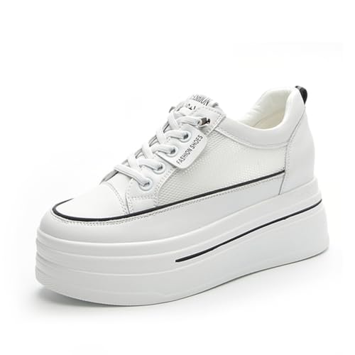 [`CW] Cq[Xj[J[ fB[X Xj[J[ fB[XXj[J[  r ubN-bV 24.0 cm V[NbgV[Y V[Y [XAbv 8cm   q[Abv y gAbv