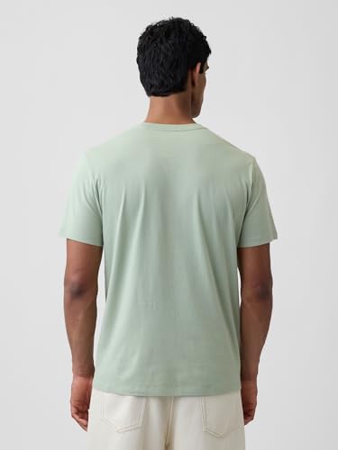 Image of Gap Mens Everyday Soft Crewneck T-Shirt Tee
