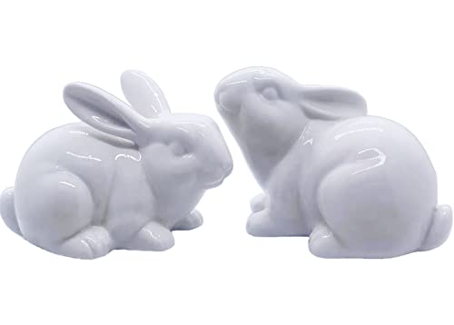 QIAOIDEA Collectible Figurine