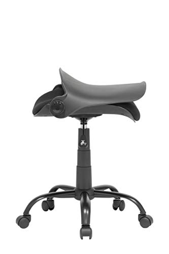 Calico Designs Back, Modern, Swivel, Office Contoured Folding Task Chair, Black/Black, 22"W X 22"D X 37.5" #TOP2