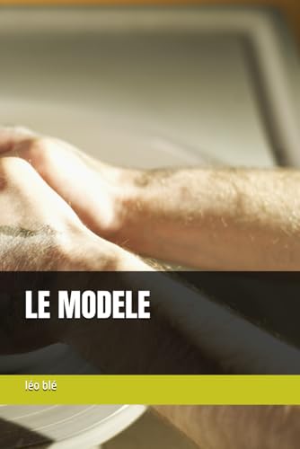  LE MODELE