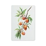 Facile à accrocher : conçu avec quatre trous pré-percés et des bords sertis, ce panneau peut être monté sans effort sur les murs, les portes ou d'autres surfaces sans tomber facilement