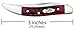 Case WR XX Pocket Knife Pocket Worn Old Red Bone Small Texas Toothpick Item #792 - (610096 SS) - Length Closed: 3 Inches