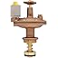 2-Pack Brass