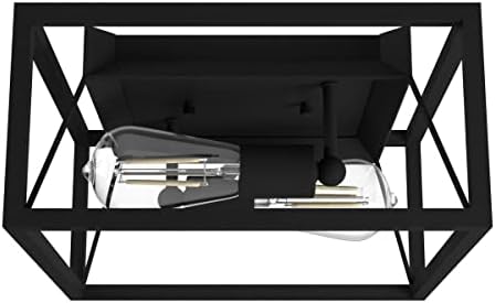 Hunter - Doherty 2-light Natural Black Iron, Medium Size Flush Mount Light, Dimmable, Industrial Style, Square Shaped, for Bedrooms, Kitchens, Foyers, Bathrooms - 19410