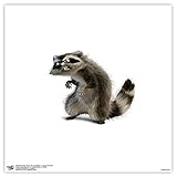 Trends International Gallery Pops Disney Pixar The Incredibles 2 - Rocky Raccoon Wall Art Wall Poster, 12