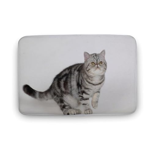 L   oX}bg   z փ}bg  O   \ ~ Aj LN^[ @}bg   ʏ