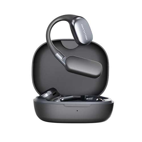 Hollyland LARK MAX 2 -���C�����X�}�C�N-�s���}�C�N-�y�� (OWS Earphone)