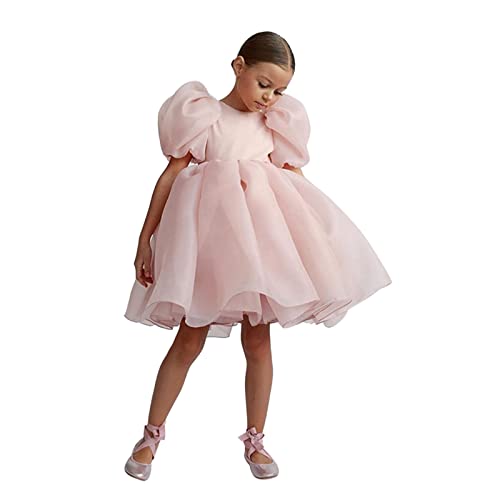 Girl Baby Toddler Puff Sleeve Fluffy Tulle Tutu Twirl𝐲 Flare Gown Princess Flower Girl Dress Wedding Dresses