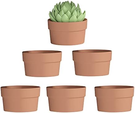 Fcacti 6 Inch Terracotta Shallow Succulent Pot - 6 Pack Large Terra Cotta Clay Pots with Drainage Hole, Round Shallow Terra-Cotta Bonsai Pot for Indoor/Outdoor Plants