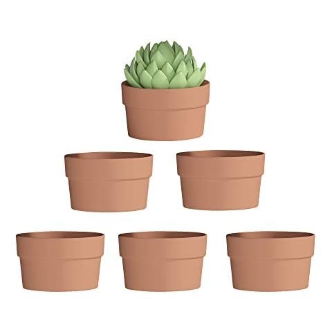 Fcacti 6 Inch Terracotta Shallow Succulent Pot - 6 Pack Large Terra Cotta Clay Pots with Drainage Hole, Round Shallow Terra-Cotta Bonsai Pot for Indoor/Outdoor Plants Cover