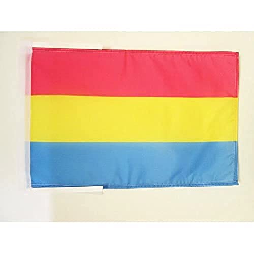 AZ FLAG - Flagge Pansexualität - 45x30 cm Mit Kordel - Pansexuellen Omnisexualität Fahne 30 x 45 Cm - Flaggen