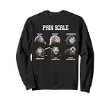 Pain Scale Pain Assessment Triage Nurse Opossum