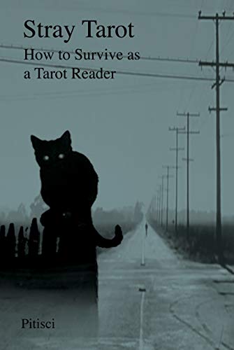 Stray Tarot: How to Survive as a Tarot Reader (English Edition)