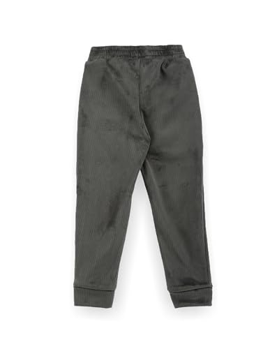 Image of U.S. Polo Assn. Kids Regular fit Boys Polyester Track Pants