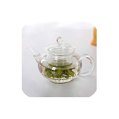 Transparent Teapot Heat resistant glass Teapot With Chinese Infuser Coffee Flower Tea Leaf Herbal Pot 250ml Durable Kettle Gift