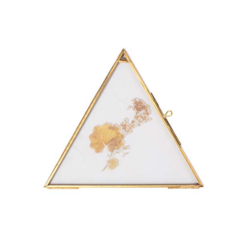Ncyp Gold Side Length 8" Hanging Triangle Herbarium Brass Glass Frame For Pressed Dried Flowers, Handmade Double Glass Floating Frame For Display Photo Picture, Glass Frame Only #TOP19