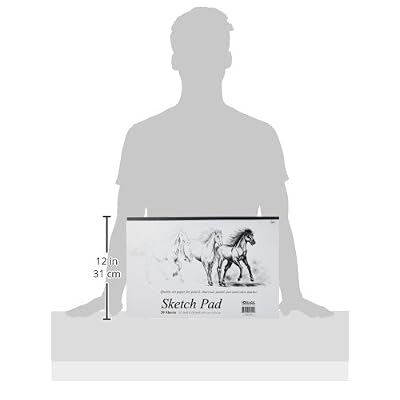 BAZIC 20 Ct. 18 X 12 Premium Sketch Pad