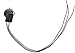 Dorman 645-907 Front Park and Turn Signal Socket