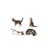 StealStreet SS-G-18060, Cat Figurine Collection Feline Animal Collectible Decoration (Set of 4)