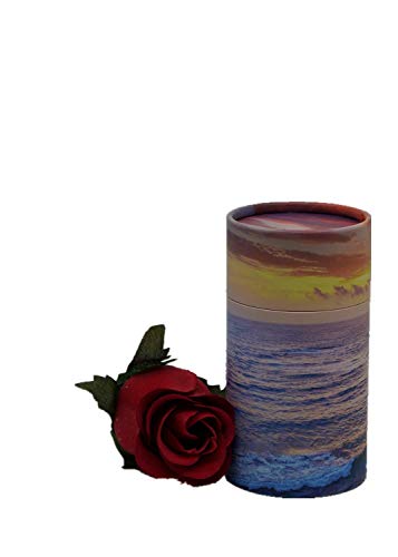 Best Casket For Human