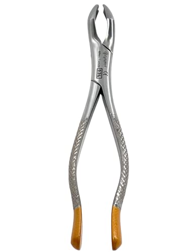 #53L Dental Tooth Extraction Forceps Pliers Upper 1st and 2nd Molars, Offset Angle Pointed Extracting Premium Forceps German Stainless CE