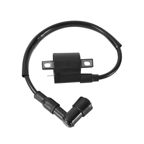 Teybouk Motorcycle Ignition Coil, Waterproof & Heat-resistant High Voltage Ignition