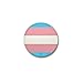 CafePress Transgender Pride Flag 1