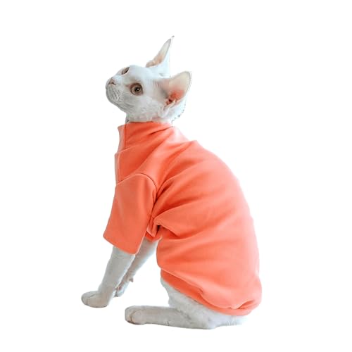 UOSIA XtBNXĽő̉Vc\tgwAXL̃p[o[VcI[V[YCgƉ^[glbNA_[Vc̃fHbNXAs[^[oh