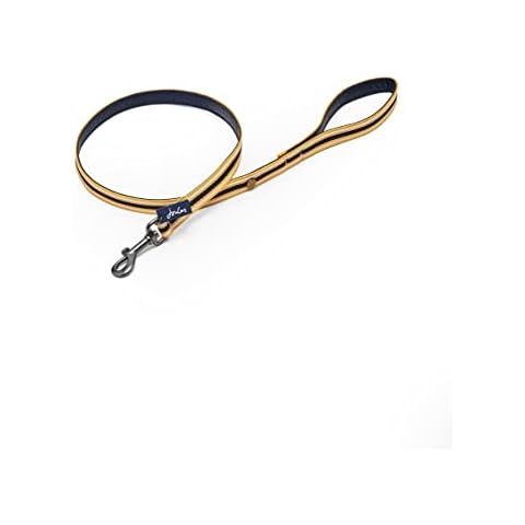 Rosewood Joules Coastal Dog Lead in Yellow & Navy Cover