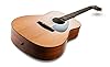 Yamaha F310 - Full Size Steel String Acoustic Guitar - Traditional Western Body - Natural #1