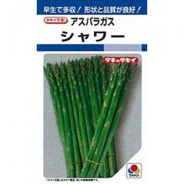 Amazon | アスパラガス 種 シャワー 小袋（約1.4ml） | 野菜