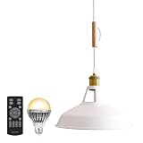 VENTOTA ペンダントライト 100w相当 リモコン式 LED電球付き E26 天井照明 リビング 吊り下げ照明 ダイニング 食卓用 レトロ インダストリアル ヴィンテージ コード調整可能 調光調色 LED Bene WH