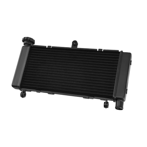 Radiateur de moto pour CB600F Hornet 1998-2006 système de refroidissement en aluminium