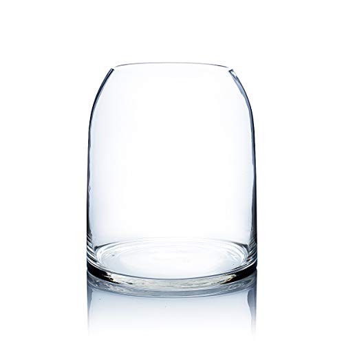 The 29 Best Glass Dome Vases of 2024 [Verified] Cherry Picks
