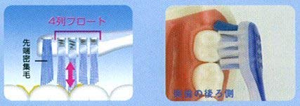 Amazon.co.jp: GC 音波振動歯ブラシ プリニアスリム用 替え