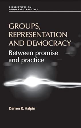 Groups, Representation and Democracy: Between Promise and Practice book cover