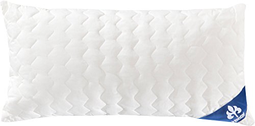 IRISETTE 03810280123 Almohada, Merino Wash, 80 x 80cm, Color Blanco