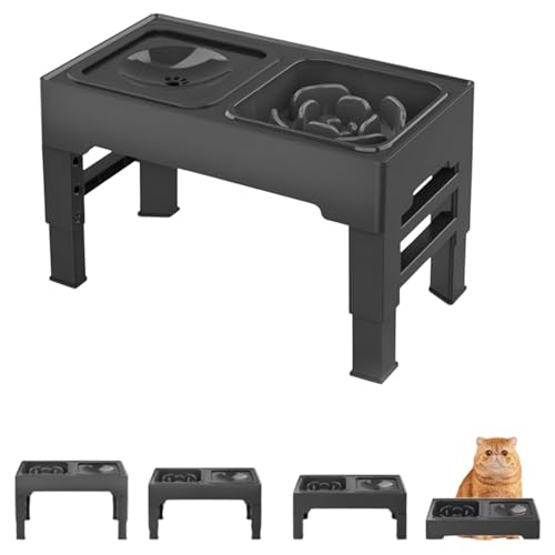 Lifetips GL]`bNV[gwA Lp H t[h{EX^h {E  ܂肽 pT|[g Hׂ₷ Hh~ 􂢂₷ ~  i4iK ubNj